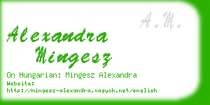 alexandra mingesz business card
